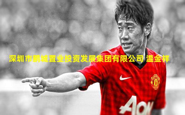 深圳市鹏城置业投资发展集团有限公司 温金祥
